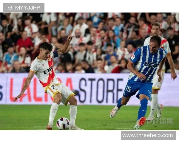 新西兰与澳大利亚的对决：一场体育盛宴的精彩回顾与分析